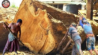 Sawing hardwood twigs at a sawmill costs 10 million in the online shop [upl. by Leanne]