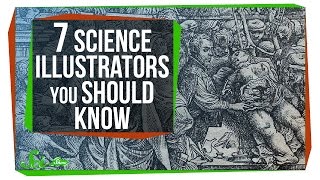 7 Science Illustrators You Should Know [upl. by Nosduj]