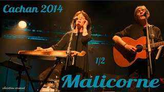 Malicorne Cachan 2014 p1 [upl. by Hanikahs772]