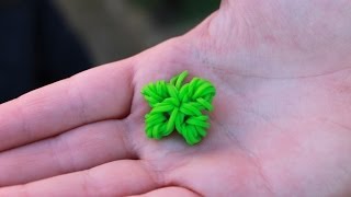 Rainbow loom Nederlands klavertje vier [upl. by Jennifer]