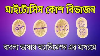 Mitosis Cell Division in Bengali [upl. by Anear]