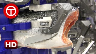 How Salmon Fillet Are Made in Factory  How Its Made ▶01 [upl. by Yztim233]