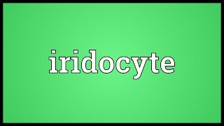 Iridocyte Meaning [upl. by Olshausen]