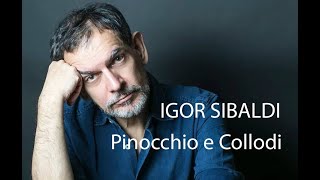 DIALOGHI CON IGOR SIBALDI Pinocchio e Collodi [upl. by Ier]