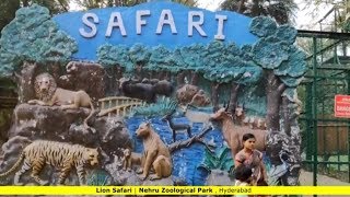 Lion Safari Ride in Nehru Zoological Park  Hyderabad [upl. by Maribel46]