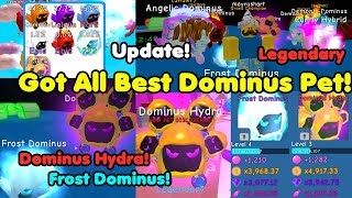 Update Got Best Dominus Legendary Pets New Island Got All Dominus Pets  Bubble Gum Simulator [upl. by Siger]