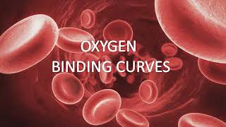 Hemoglobin and Myoglobin structures oxygen binding curves Tstate and Rstate of Hemoglobin [upl. by Bastian]