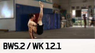 Getting Elite Gymnast Strong  STRONGER BWS2  Week 12 13 [upl. by Lemert]