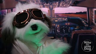 ASMR Parody Roleplay  Aviator Dog Gets You Ready to Fly [upl. by Nunnery620]