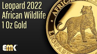 Leopard 2022  African Wildlife  1 Oz Gold  Stempelglanz [upl. by Kosiur908]