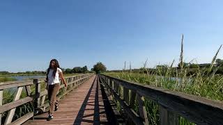 Walking Mill Creek Marsh in Secaucus Loop in NJ [upl. by Kopans]