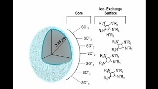 Oligosaccharide Analysis HighPerformance AnionExchange Chromatography [upl. by Ahsenaj]