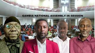 What is the role of the national assembly member [upl. by Quintilla]