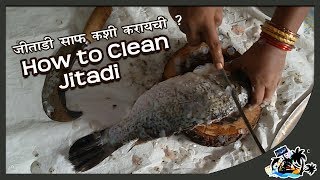 How To Clean Jitadi Fish  Khajari Fish खाजरी मासा साफ़ करण्याची पद्धत [upl. by Hanoy]