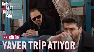 Yaver Trip Atıyor  Gelsin Hayat Bildiği Gibi 36 Bölüm [upl. by Uball330]