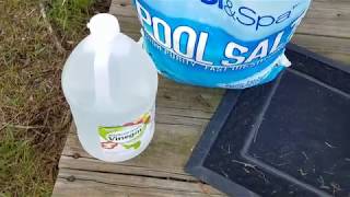 The perfect nontoxic weed killer spray for your honey bee yard [upl. by Leisha34]