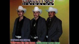 Los Gallitos de Sinaloa  El mudo [upl. by Madison]