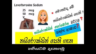 තයිරොක්සින් බොන ඔබ මේ කරුණු දන්නවාද Do you know these about Thyroxine as a drug [upl. by Inahs]