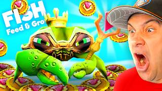 King Of The Crabs Coin Challenge in Feed and Grow [upl. by Laveen]