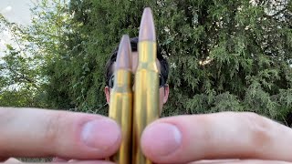 3006 vs 308 Winchester Which Penetrates Steel Better [upl. by Joshuah]