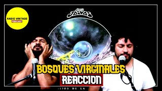 Reacción Bosques Virginales  LOS JAIVAS [upl. by Harahs]