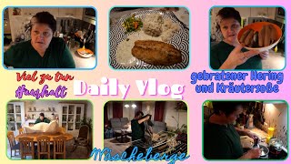 Daily Vlog  Viel Haushalt  Wäscheberge  Bad putzen  Gebratener Hering mit Kräutersoße  Alltag [upl. by Eatnoj]