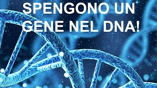 Spengono un gene difettoso senza modificare il DNA [upl. by Rist]