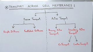 Transport across the Cell Membrane  Plasma Membrane  Active and Passive Transport [upl. by Chrysa]