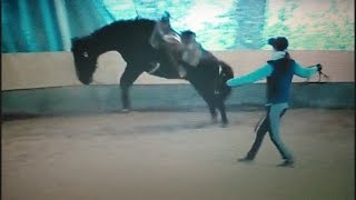 Bucking Horse  Wildes Rodeo beim ersten Sattel [upl. by Harifaz]