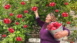 Harvesting Fresh Pomegranates and Making Jam Cake and Drink in the Village [upl. by Nwavahs546]