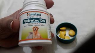 Himalaya Nefrotec DS VET TABLET [upl. by Cordeelia]