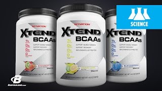 SciVation Xtend BCAAs  ScienceBased Overview [upl. by Aitnom105]