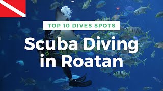 Top 10 Scuba Dives in Roatan [upl. by Trellas]