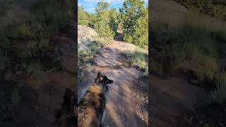 Blue Sky Loop at Penitente Canyon coloradoadventure hike mountains [upl. by Tamiko795]