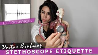 Doctor Explains Stethoscope Examination Patient Etiquette  Heart amp Lung Sounds 🩺 [upl. by Aicatsanna]