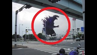 5 Godzilla Caught on Camera amp Spotted in Real Life 2 [upl. by Pejsach143]