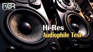 HiRes Audiophile Test  Best Voices amp Instrumental 24 Bit  Natural Beat Records [upl. by Merrily]