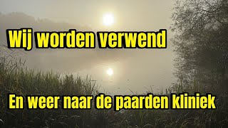 Wat worden wij toch verwend Vlog 127 [upl. by Anaylil728]