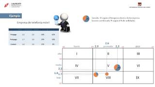 MATRIZ IE [upl. by Vallonia]