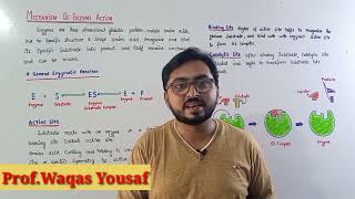 Mechanism of Enzyme action  Enzymology [upl. by Adnohsek]