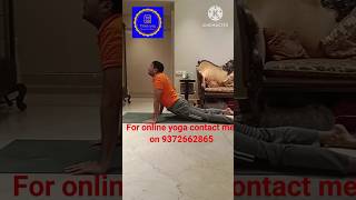 yoga for lower back pain relief beginner yoga for lower back pain TimaYog yoga shorts [upl. by Raoul]