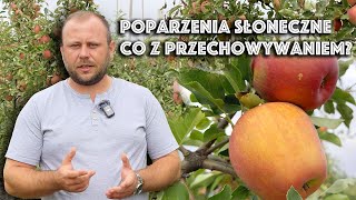 Czy przechowywać jabłka z poparzeniami słonecznymi Krótko i na temat [upl. by Annairdna]