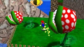 SM64  Pluck the Piranha Flower  No Buttons Allowed [upl. by Quintilla922]