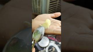 Making Or Testing Fake Or Real GheeButter 😱 Tasting Real Ghee shorts ghee testing [upl. by Raymund160]