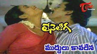 Teneteega Songs  Muddul Kavalena  Rajendra Prasad  Rekha  Sitara [upl. by Adlin]