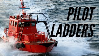 Maintenance Series  Pilot Ladders  How to maintain Pilot Ladders [upl. by Scoles]