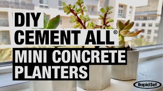 Mini Concrete Planters made with Rapid Set® Cement All® [upl. by Finella]