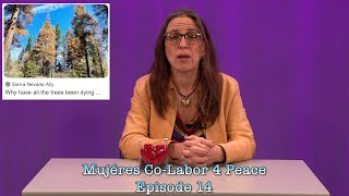 MC4P Episode 14  Cultivating Joy in Earth day Actions EV History and global CO2 Weight [upl. by Henden788]