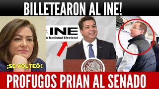 BILLETEARON AL INE CABEZA DE VACA Y ANAYA LOGRAN PLURIS NOROÑA REVIENTA VS TADDEI LENCHO REGRESÓ [upl. by Nueoras]