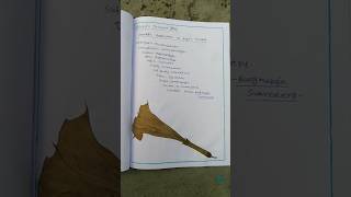 🌷Herbarium sheet🌷viralvideo kathika minivlog pleasesubscribe [upl. by Aniretak528]